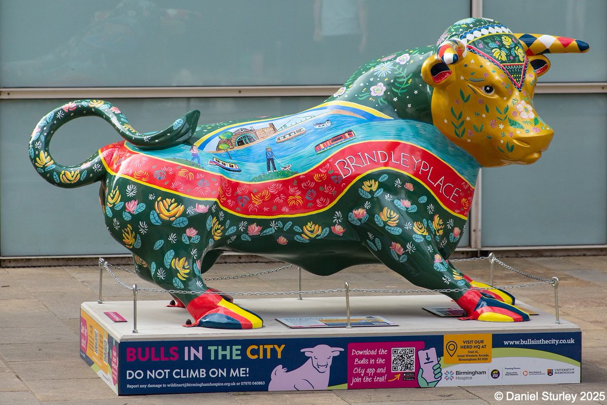 #Birmingham UK, 4 of the <a href="/Brindleyplace/">Brindleyplace</a> painted #bull, one of two, this one in Central Square by Las Iguanas 😎 
#BirminghamWeAre #FullColourNoFear 
#BullsInTheCity