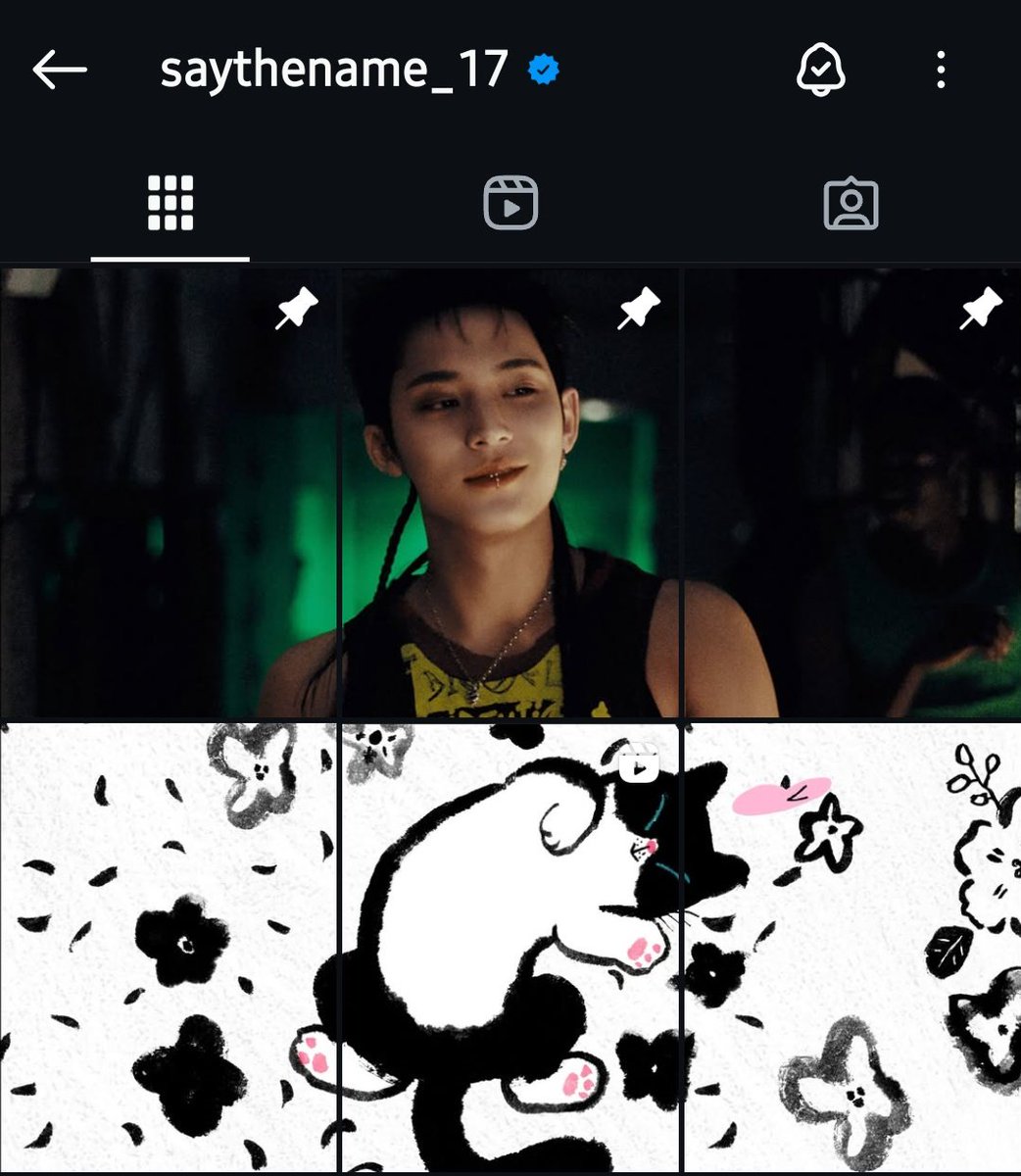 k✧⋆🐕🐈⬛️ tweet media