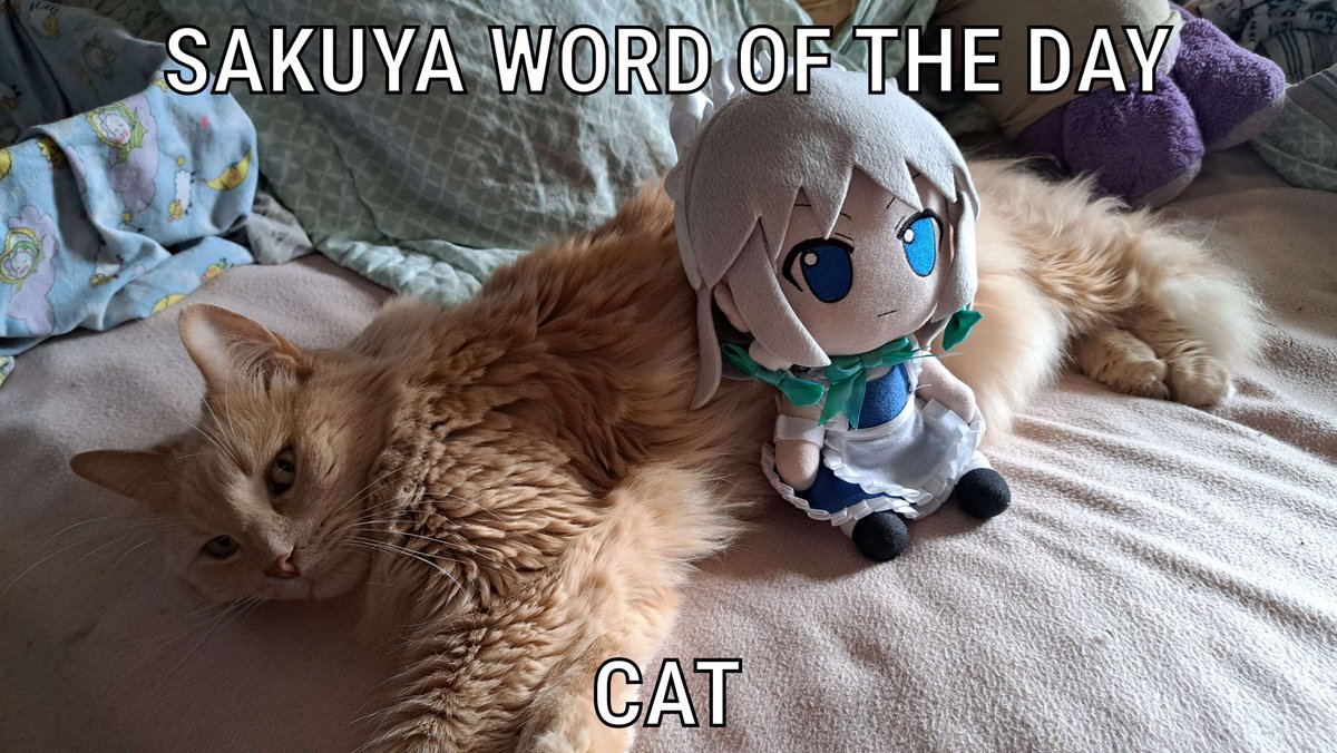 SakuyaWOTD's tweet image. 