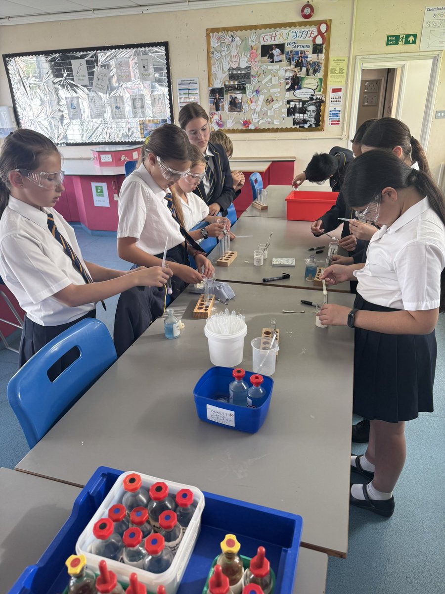 Science Club: The Great Food Test Challenge!