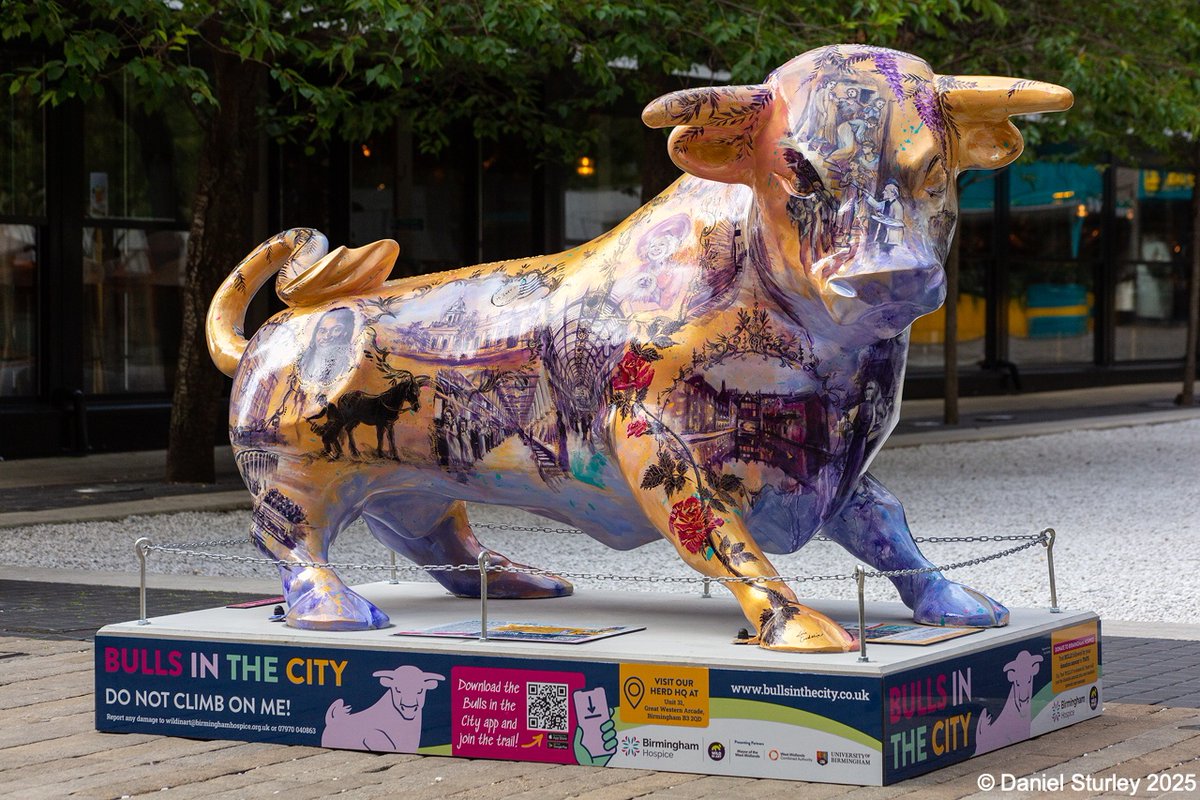 #Birmingham UK, 4 of the <a href="/Brindleyplace/">Brindleyplace</a> painted #bull, one of two, this one in Oozells Square by <a href="/ikongallery/">Ikon</a>  😎 
#BirminghamWeAre #FullColourNoFear 
#BullsInTheCity