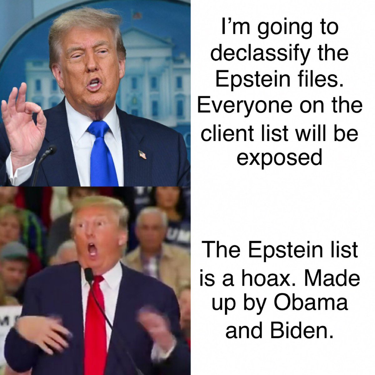 🎯