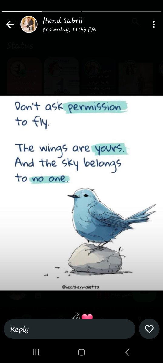 Amina ibrahim (@monyamahmoud81) on Twitter photo 