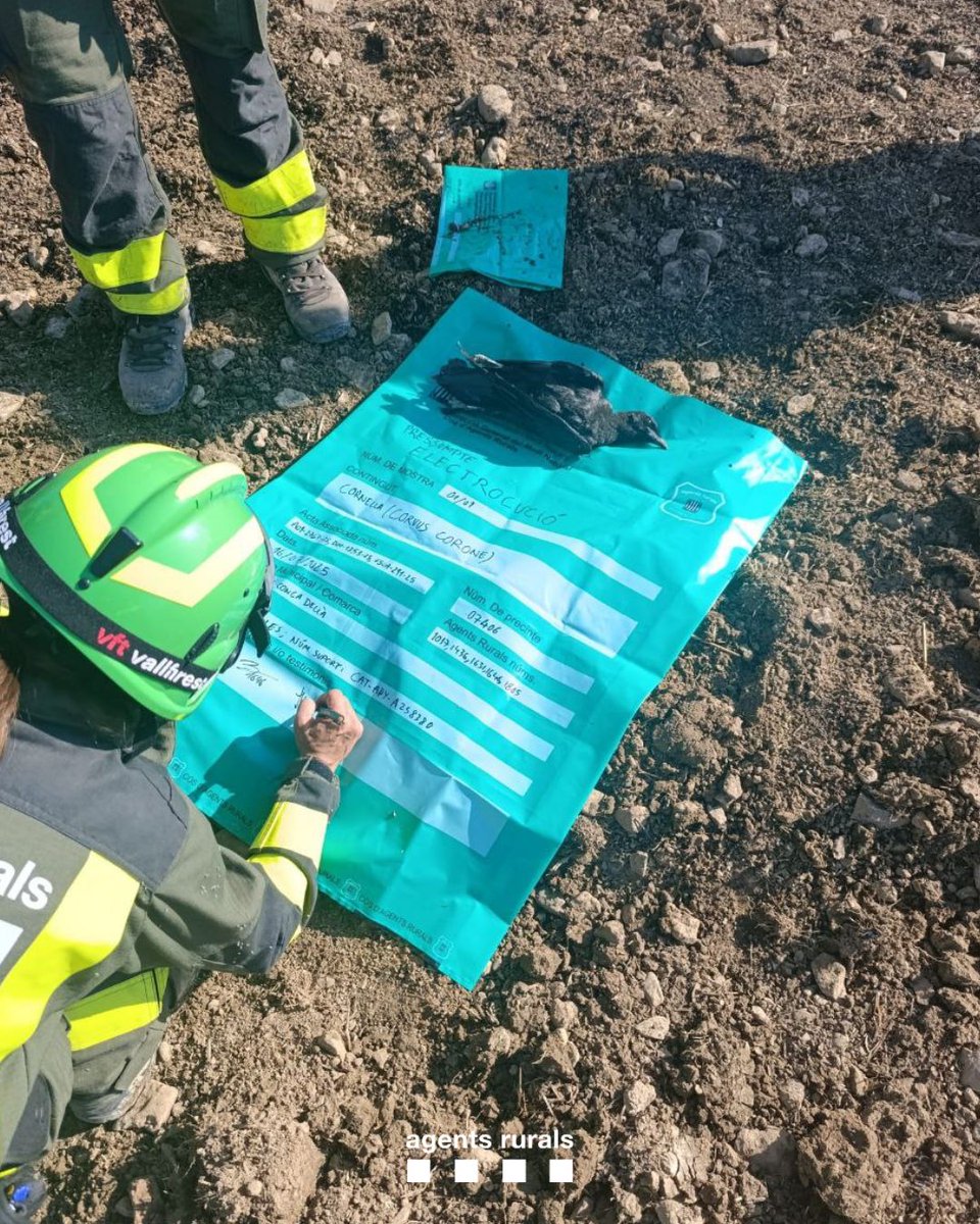 Agents Rurals tweet media