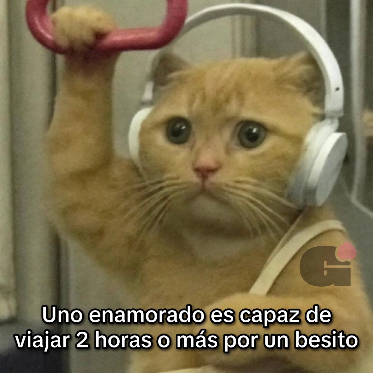 Hasta por nada., image size:1200x1200