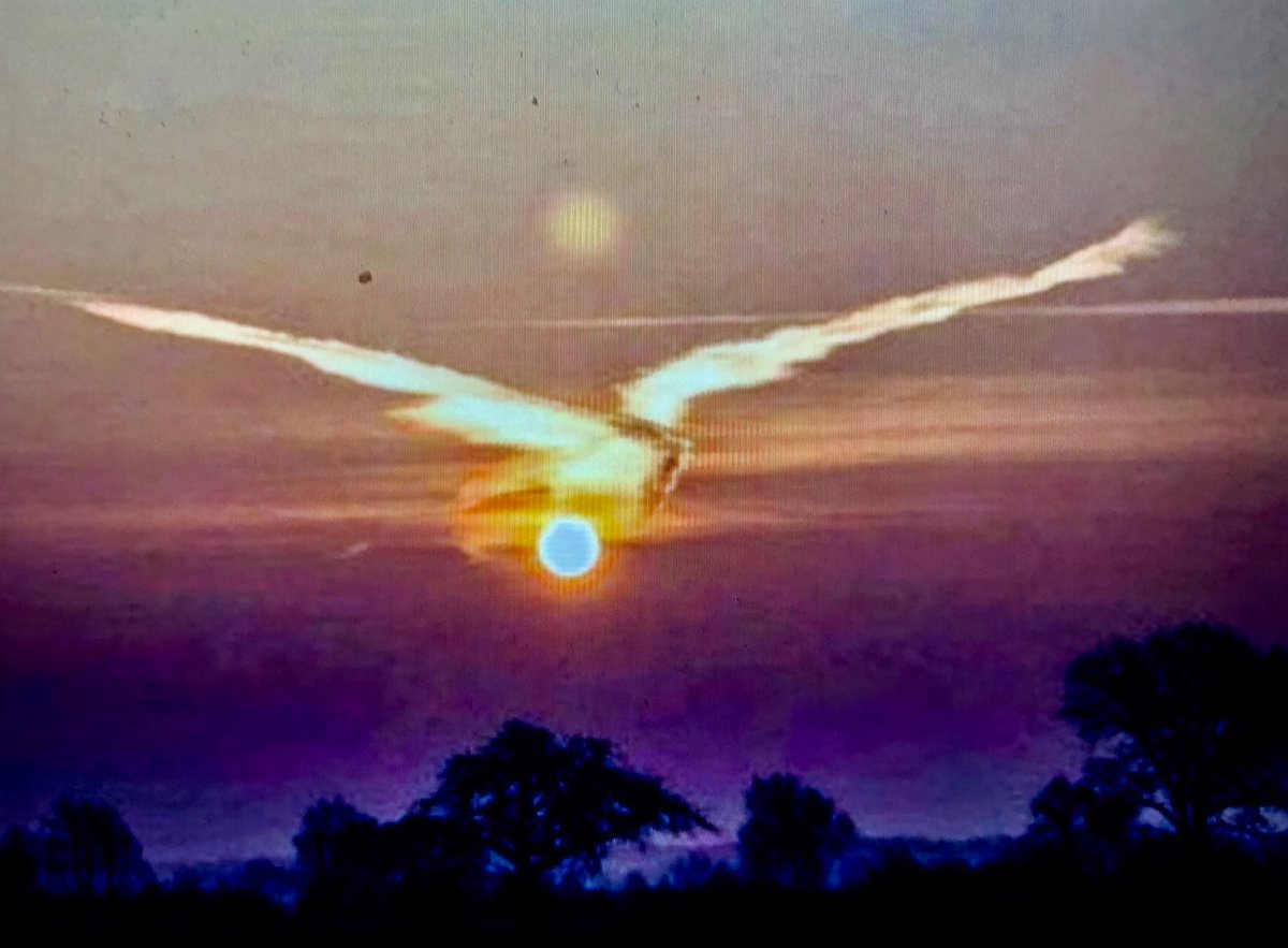 JimHawk67327371's tweet image. Hawk has decided to be nice for awhile. It’s actually easy once you get the hang of it😉