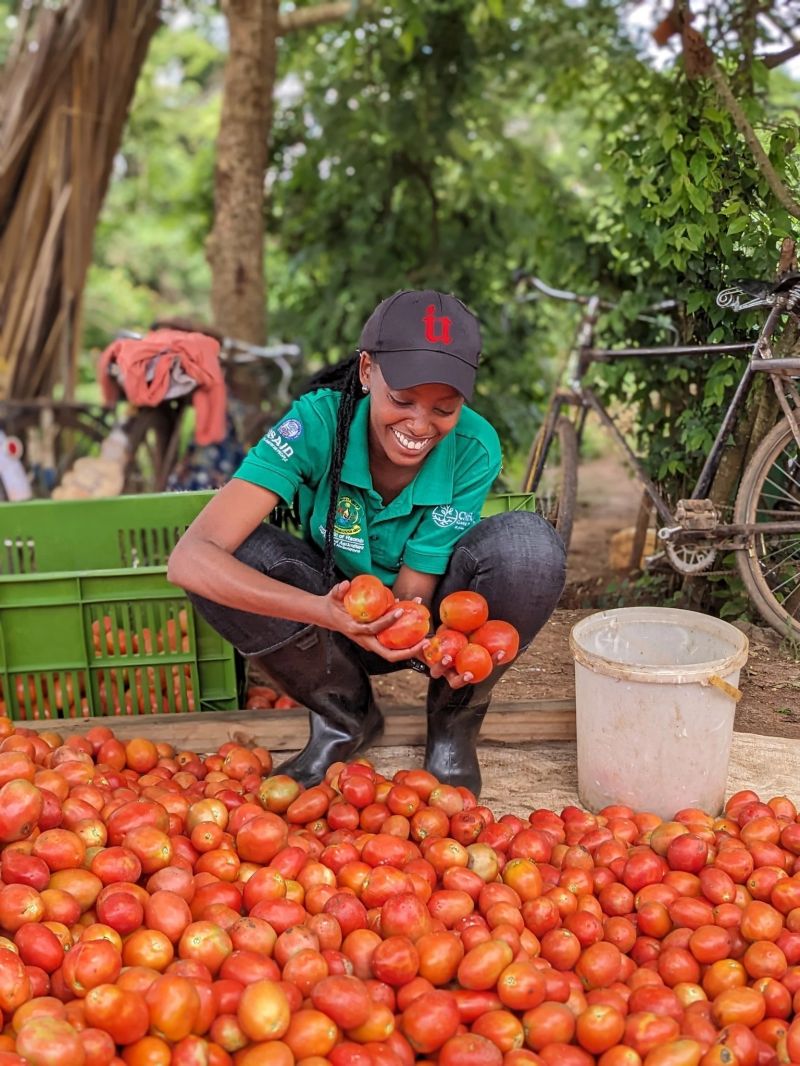Every harvest tells a story of hard work and dedication. Celebrate your success, farmers!

 #FeedTheCommunity