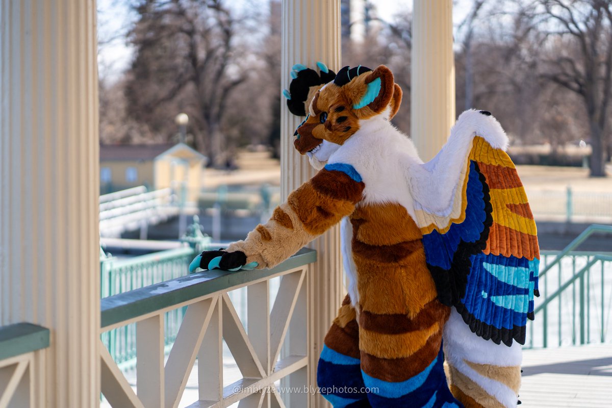 SeireinoSensh's tweet image. The days may be tough but sometimes you just need to take a break and relax.
Next con is @MegaplexCon . Who will i see their ? Should be able to bring a lot more things and suits if anyone wants to meet or suit swap. Love to try a SpiritPanda, Beauty of the bass, PhoenixNest,…