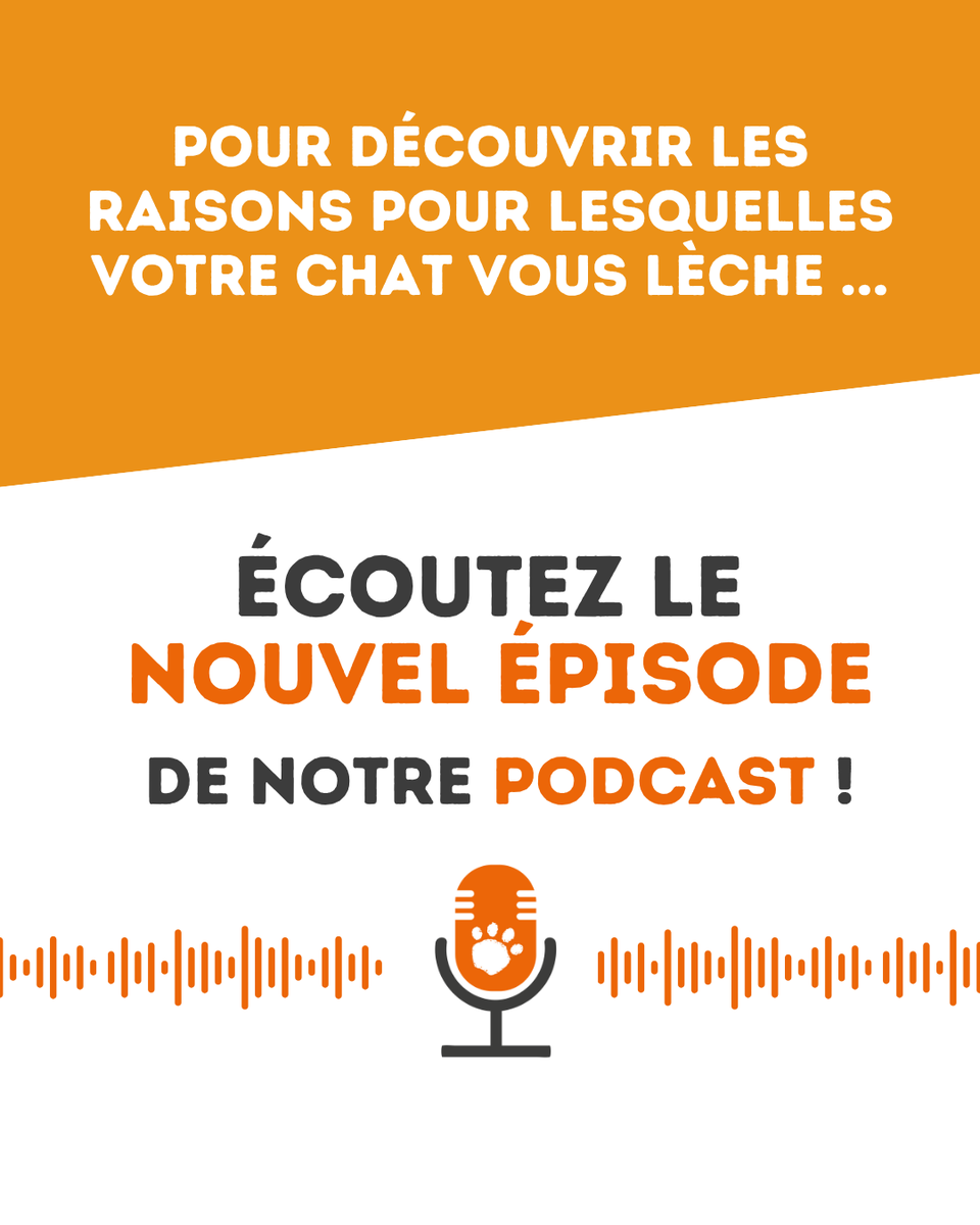 🐾 Derrière chaque miaulement, regard mystérieux ou léchouille se cache un langage subtil que votre félin utilise pour interagir avec vous.​

Dans cet épisode du podcast de la SPA, nous décryptons les comportements fascinants des chats pour communiquer avec nous, et plus