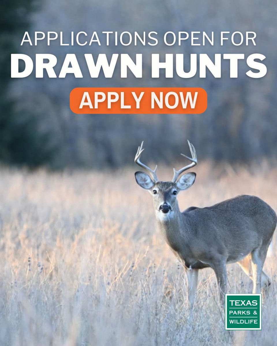 🚨DRAWN HUNT APPLICATIONS NOW OPEN 🚨

Apply for a shot at nearly 9,600 public hunt permits in more than 60 high-quality categories around Texas.

🗓️ Application deadlines are the 1st and 15th of each month between Aug - Nov

MORE --> tinyurl.com/DrawnHunts25