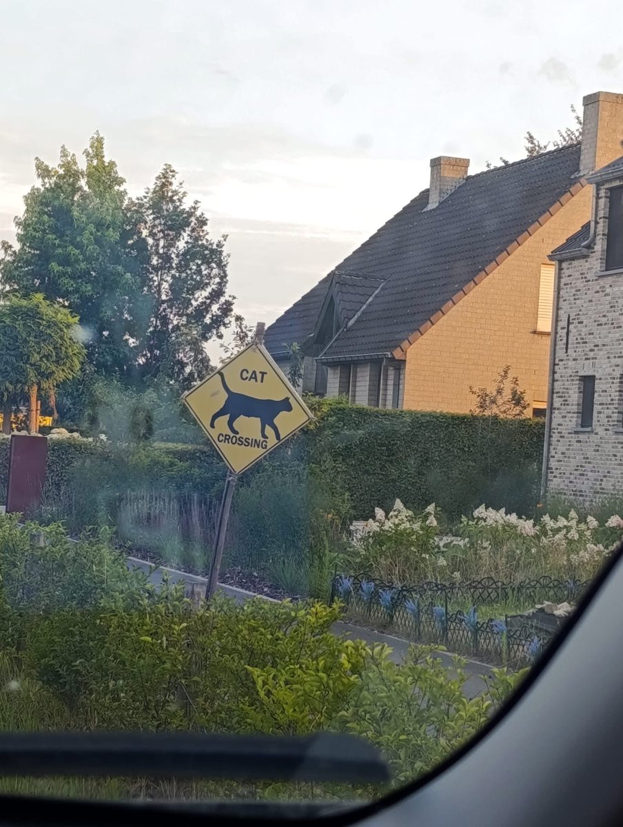 🐈‍⬛  CAT CROSSING