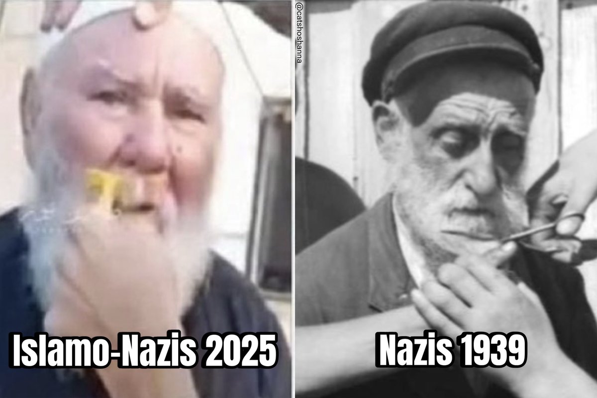 Caт 🐝 (@catshoshanna) on Twitter photo 