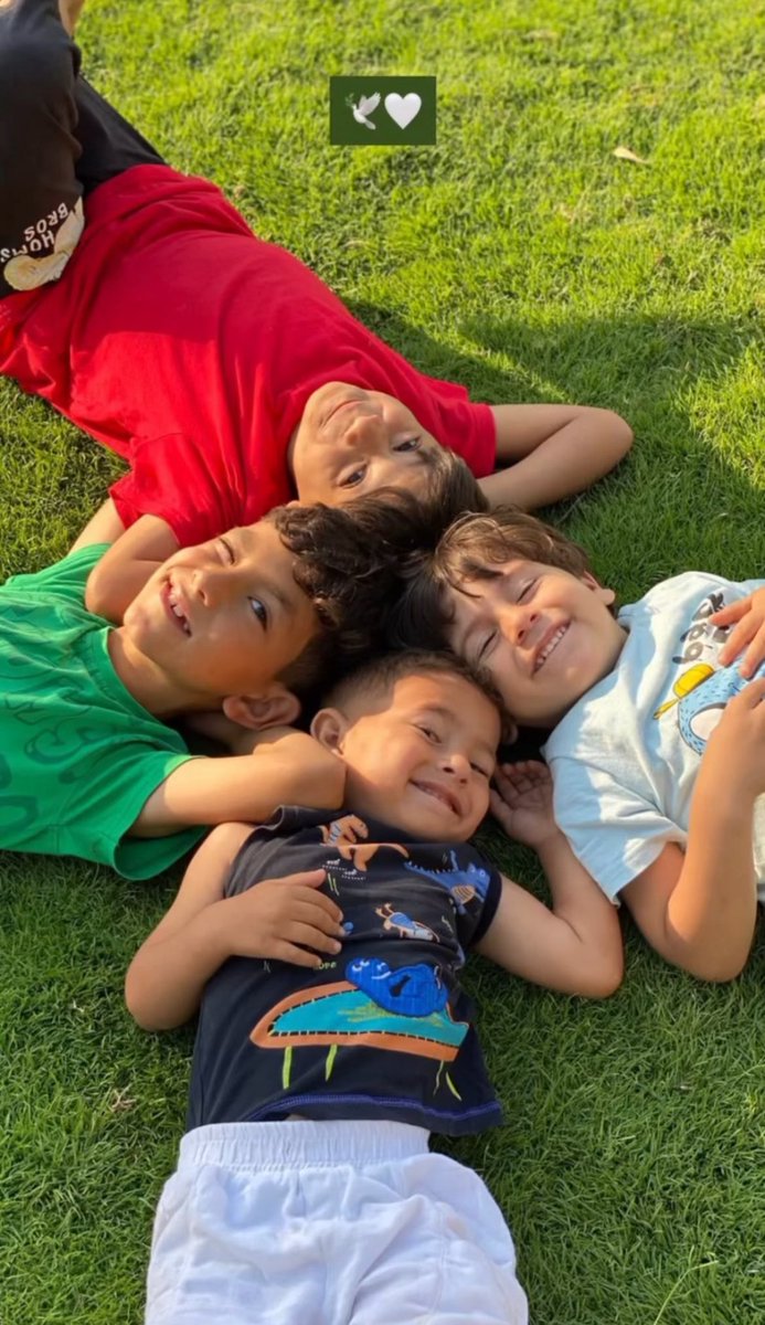 All these kids in the photo were killed by Israel!

Israel killed them a few days ago, along with their mom and dad, Suhaib Al-Qarnawi, in a strike on their tent.