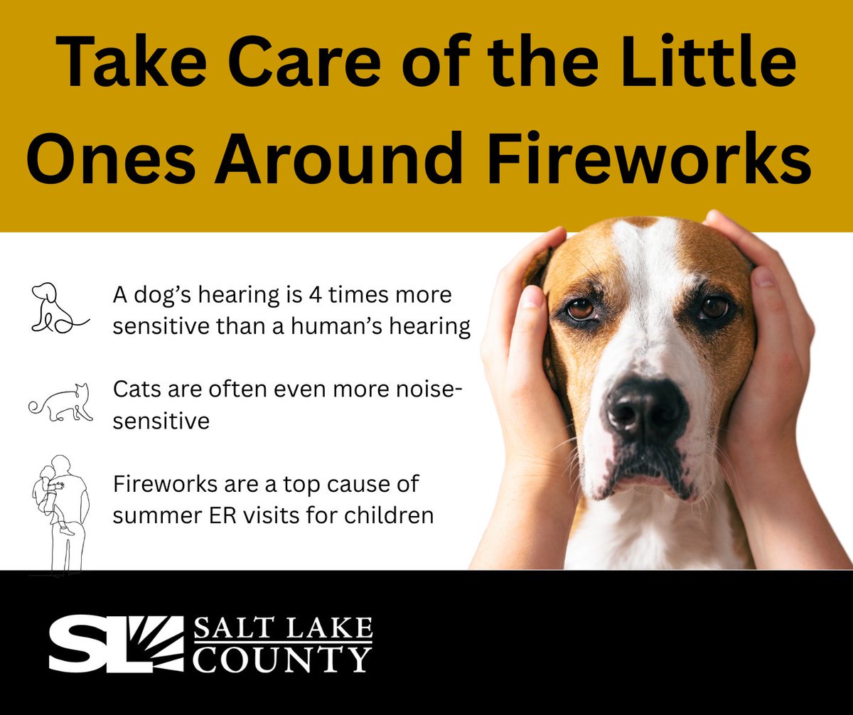 Another fireworks holiday is around the corner—let’s keep it safe.

 👶 Fireworks should never be handled by small children
 🧯 Older kids need close adult supervision
 🐾 Fireworks can frighten or injure pets; keep them indoors

 #PioneerDaySafety #SLCoFireworks