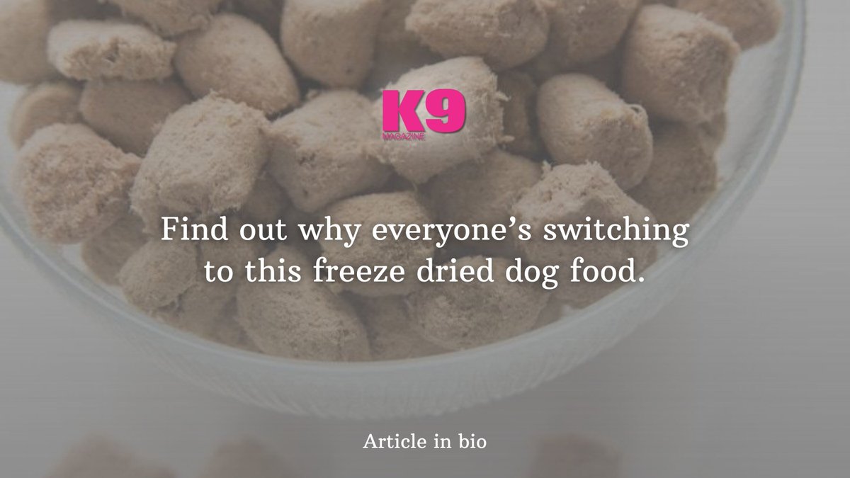 Discover the top-rated freeze dried dog foods that’ll have your pup drooling 🐶 #k9magazine

k9magazine.com/top-rated-free…