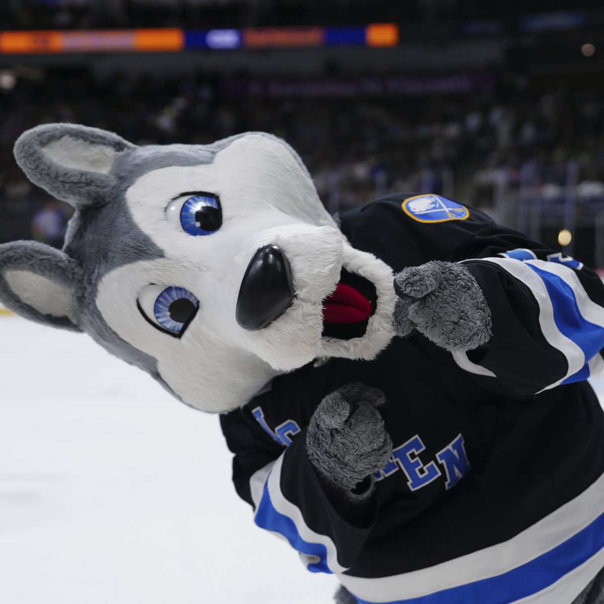 JaxIcemen's tweet image. Who’s the top dog? Fang is with your help! 🐾💙 Let’s lock in ECHL Mascot of the Year!
-
Voting ends this Thursday at 11:59pm | bit.ly/4eL3CRn