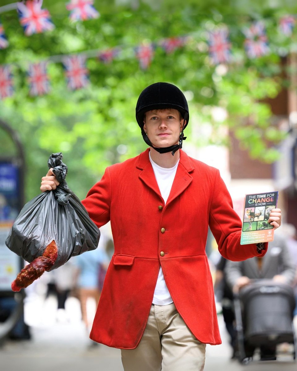 LeagueACS's tweet image. We were in Peterborough today to expose the links between the city’s Festival of Hounds and the illegal blood sport of fox hunting.
Read more and find out how you can help: leagueacs.co.uk/GJC8x
#TimeForChange