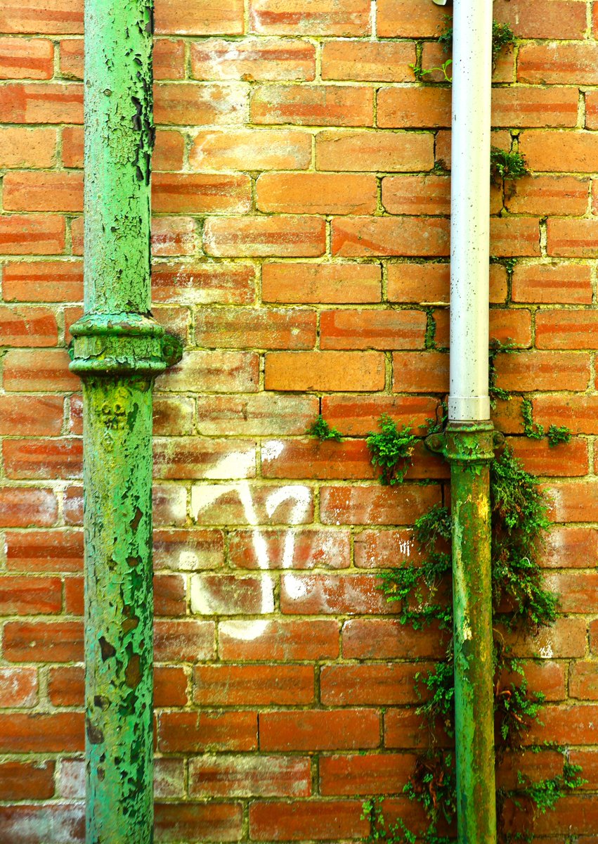 solidbond's tweet image. #WallsonWednesday