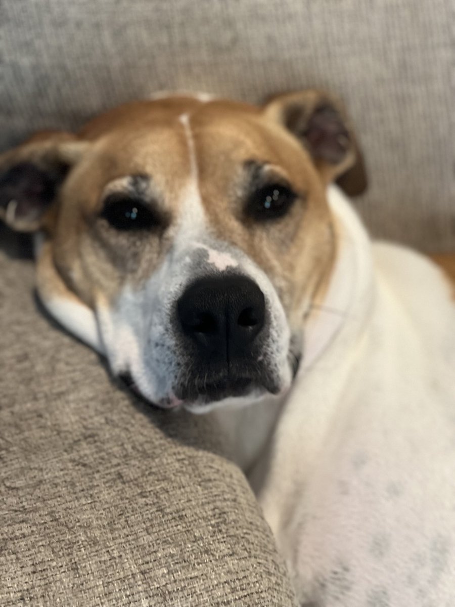 4th and 11 (@4thandeleven) on Twitter photo 