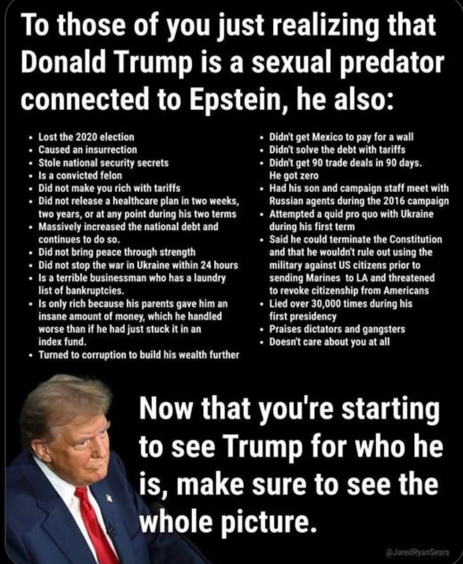 VoteBlueToSaveTheUSA tweet media
