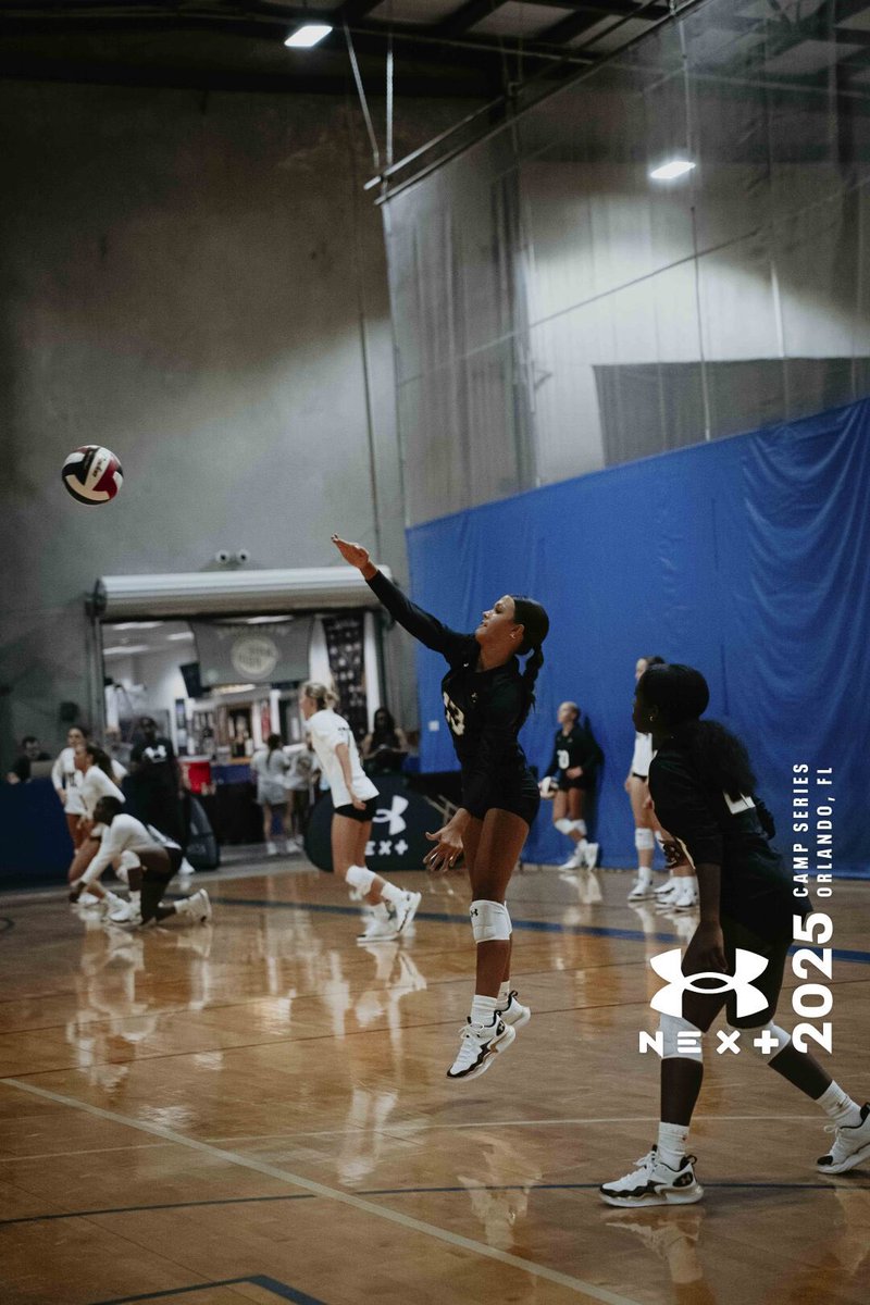 Kate Dauer tweet media