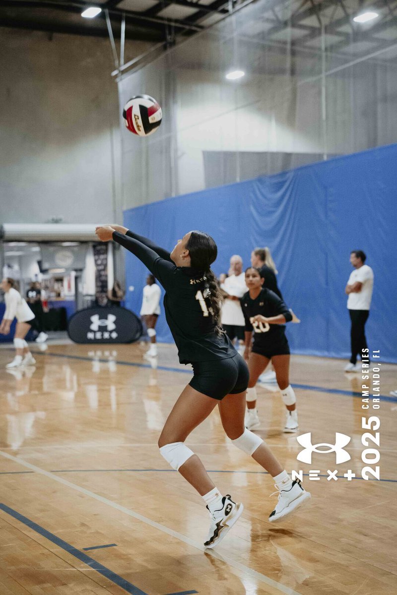 Kate Dauer tweet media