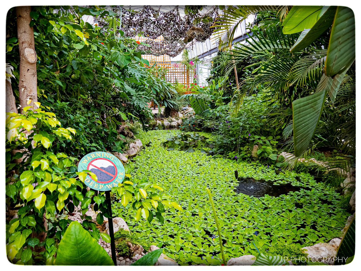 JPPhotography21's tweet photo. Todays walk around Hall Place &amp; Gardens and the London Butterfly Gardens
@SallyWeather @ChrisPage90 @HollyJGreen @WeatherAisling @SimonOKing @BBCLondonNews @Kate_Kinsella @lizzieweather @KawserQuamer https://t.co/KojbfA6N5g