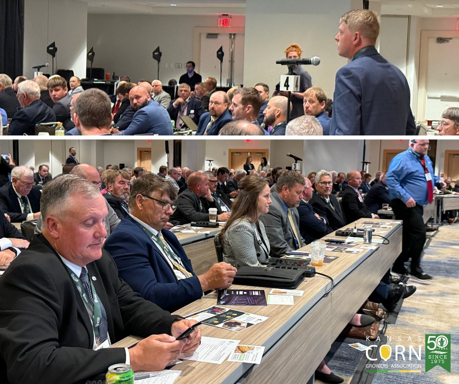 kscorn's tweet image. Another great morning at #CornCongress in DC! This afternoon, our leaders are headed to The Hill to meet with the Kansas delegation and advocate for corn growers. 🌽🇺🇸 #CornOnTheHill #kscorn #KCGA