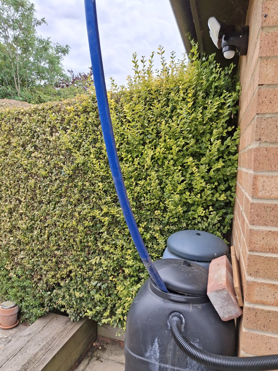 Sharon Leaver ๐ค (@leaver_sharon) on Twitter photo Use of grey water (shower) to keep the garden alive <a href="/SouthEastWater3/">SouthEastWater_</a> <a href="/thameswater/">Thames Water ๐ง</a> <a href="/GWandShows/">BBC Gardeners World</a> <a href="/MontyDon1955/">Monty Don</a> Use of grey water (shower) to keep the garden alive <a href="/SouthEastWater3/">SouthEastWater_</a> <a href="/thameswater/">Thames Water ๐ง</a> <a href="/GWandShows/">BBC Gardeners World</a> <a href="/MontyDon1955/">Monty Don</a>