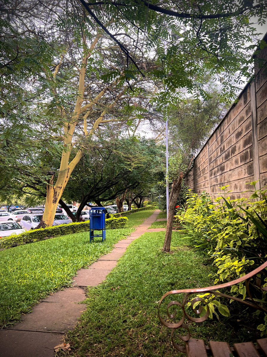 Step into our quiet oasis ,where towering trees whisper, vibrant flowers bloom and a gentle path leads you through nature’s embrace. Nestled between lush greenery and timeless walls, this is your sanctuary. 🇰🇪  

Proud to nurture such beauty in our beloved Kenya. #hapanihome