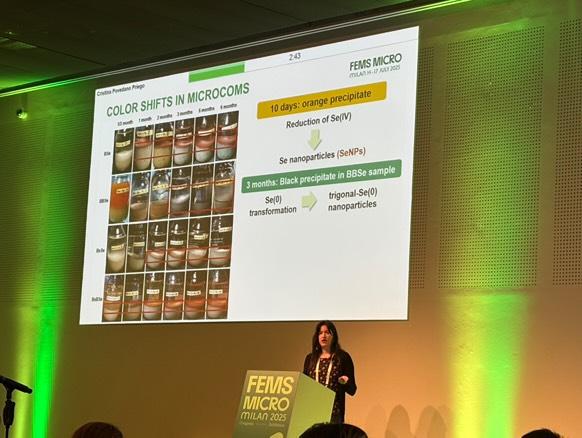 microlab103's tweet image. At the #FEMS2025 Congress in Milan🇮🇹, @crispopri presented innovative findings on the microbiology of deep geological repositories for nuclear waste☢️, highlighting microbial behavior in long-term storage environments.