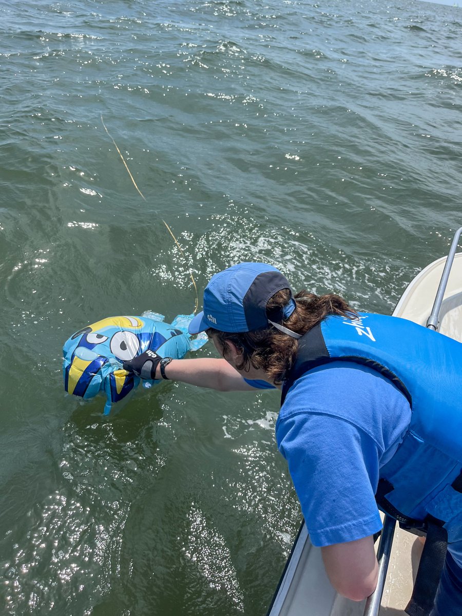 Most see balloons and think celebration. 🎈

Emma, a Sailors for the Sea #Skipper with 10+ years on the water, sees marine debris in the form of balloons, drifting with the tide, tangled in rocks &amp; threatening wildlife.

Read more: bit.ly/45buXIn

#PlasticFreeJuly