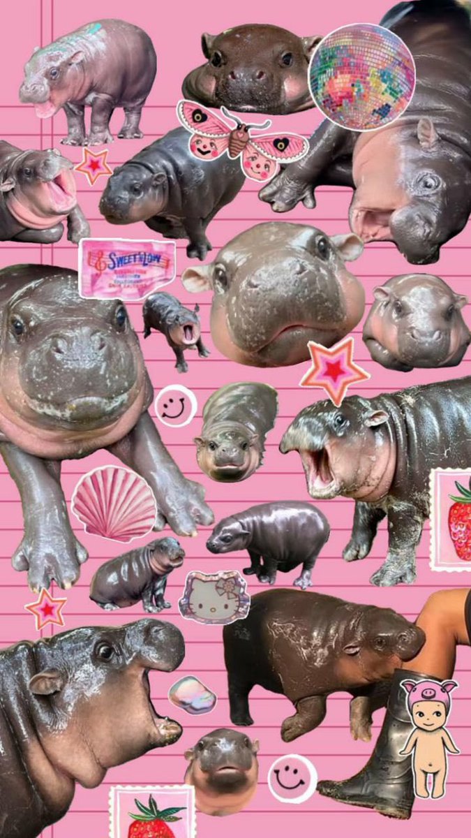 Moo Deng mood board 🥰

#moodeng