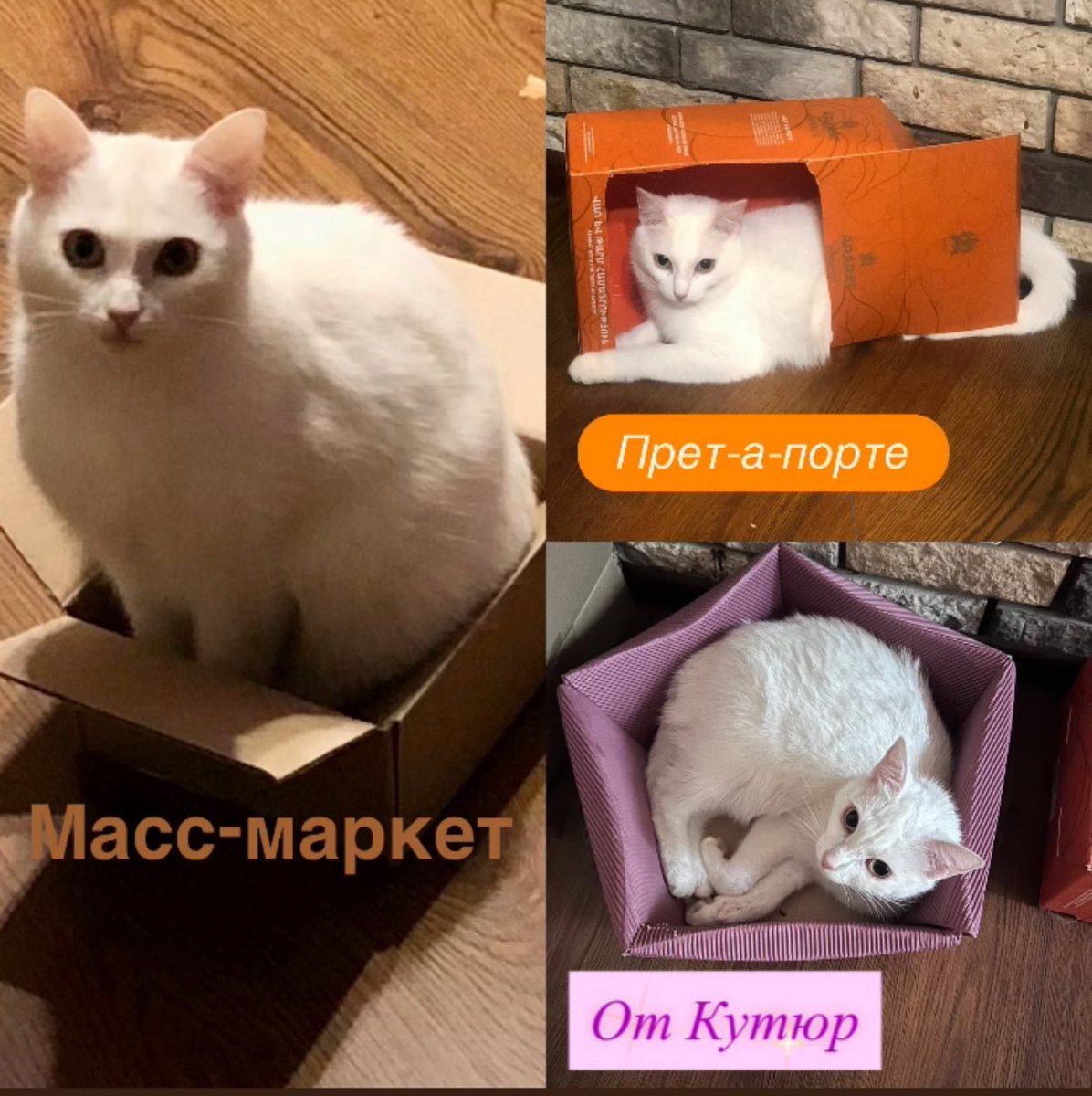 ***Иви*** (@nikira44) on Twitter photo 