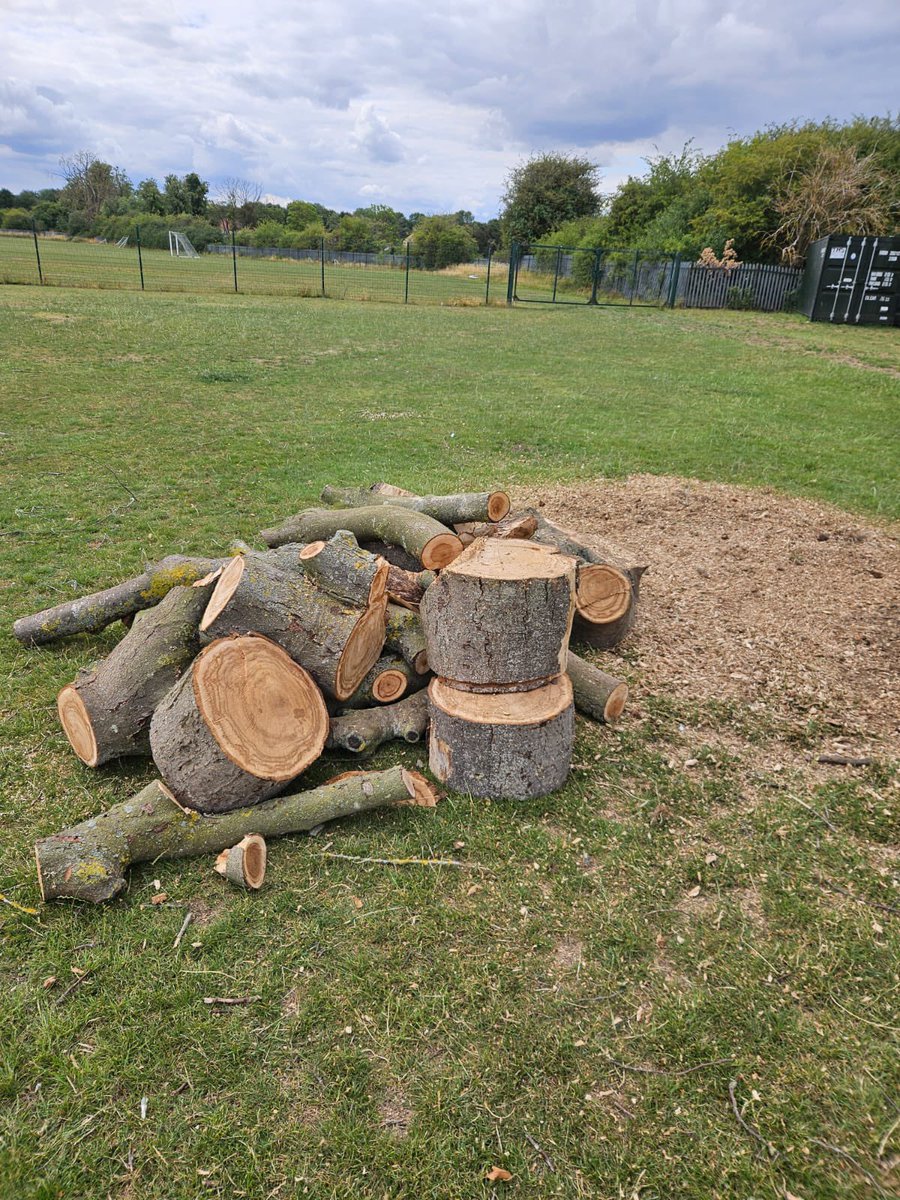 LongFieldMelton's tweet image. 🌲 It has all been about tree surgery today. Trees overhanging near the meadow & on the field and a tree that died in the flood when it was surrounded by water for two months. If anyone wants to donate us a nice forty year old tree, please do get in touch! 🌲 @satrust_