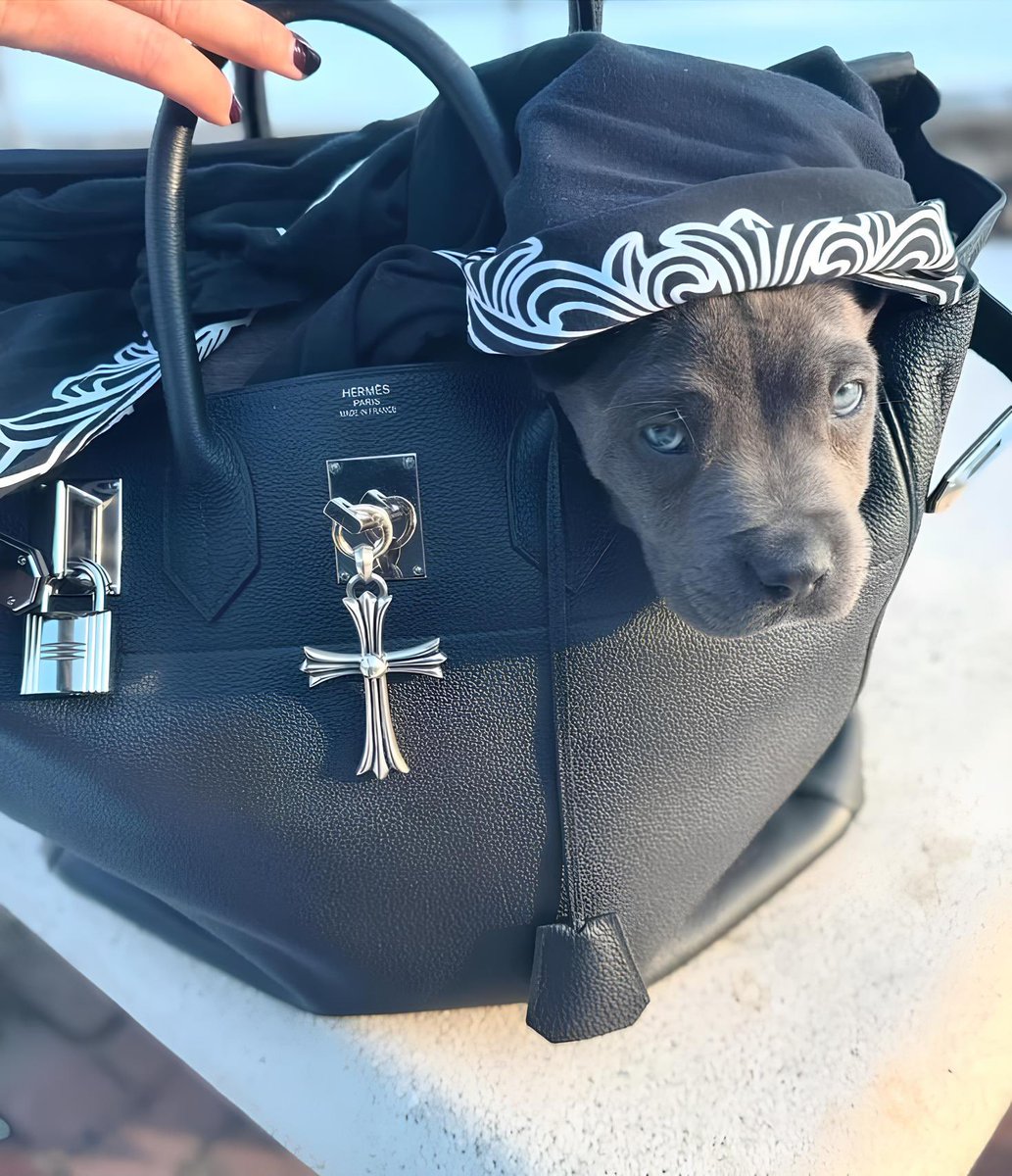 hard everything (@hrdevrythng) on Twitter photo 