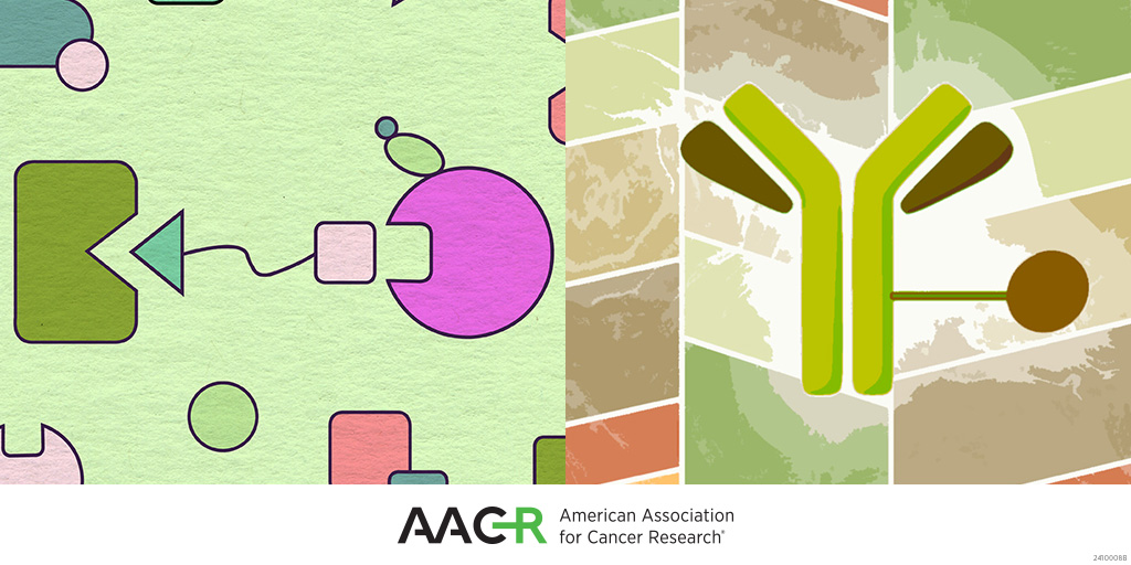 MCT_AACR's tweet image. Read &quot;Towards Degrader-Antibody Conjugates,&quot; a collection focused on the preclinical to early clinical development of novel #ADCs and #proteindegraders: aacrjournals.org/collection/106…