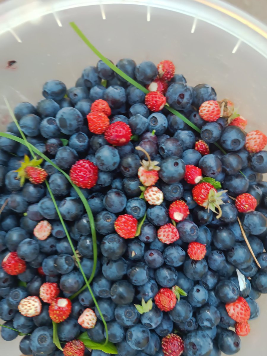 Погуляли вот))