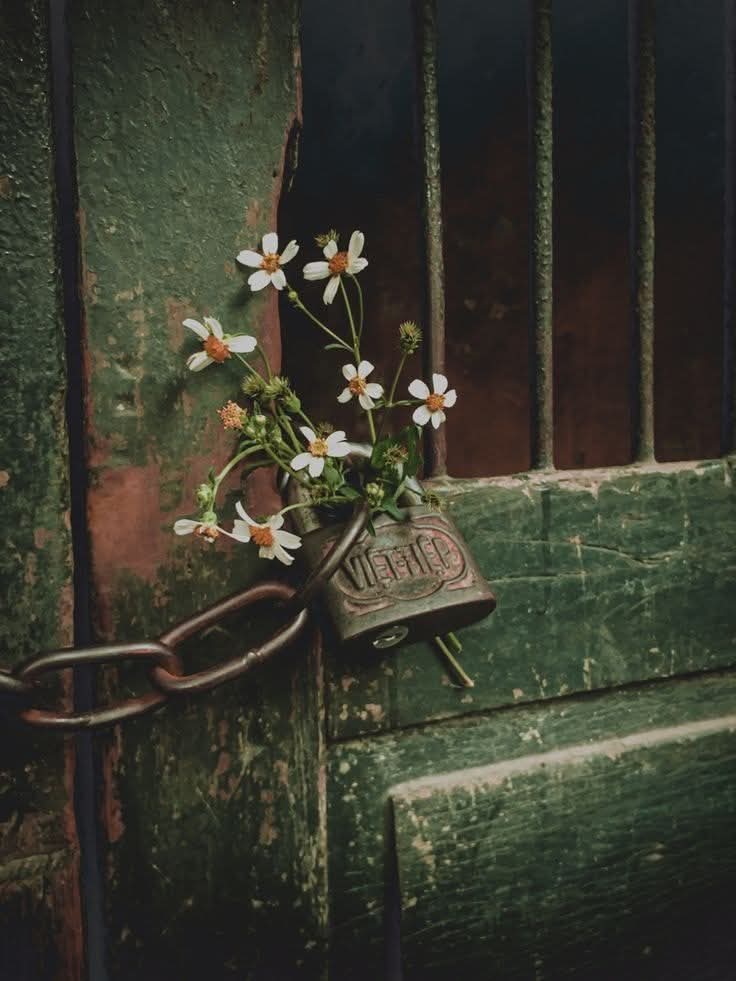 Gurbetin iki acısı vardır;
Giderken bıraktıklarımız,
Dönünce de bulamadıklarımız..
