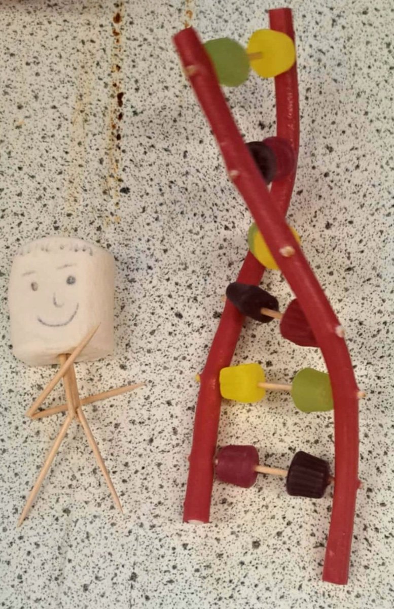 Year 10 constructed DNA models as part of their Biology topic covered with Mrs Lacroix. #TeamRhosnesni