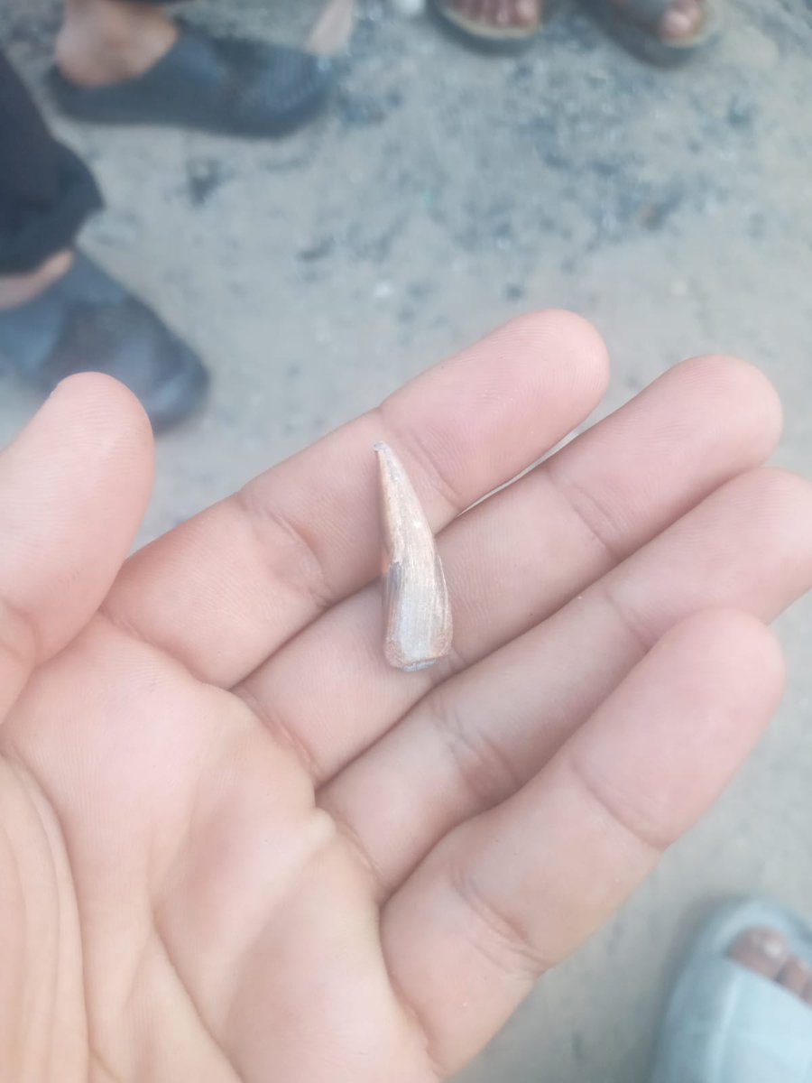 Last night was one of the hardest nights. 
The tents were targeted by gunfire from a quadcopter. Thank God we survived. 
There is no safe place in Gaza.