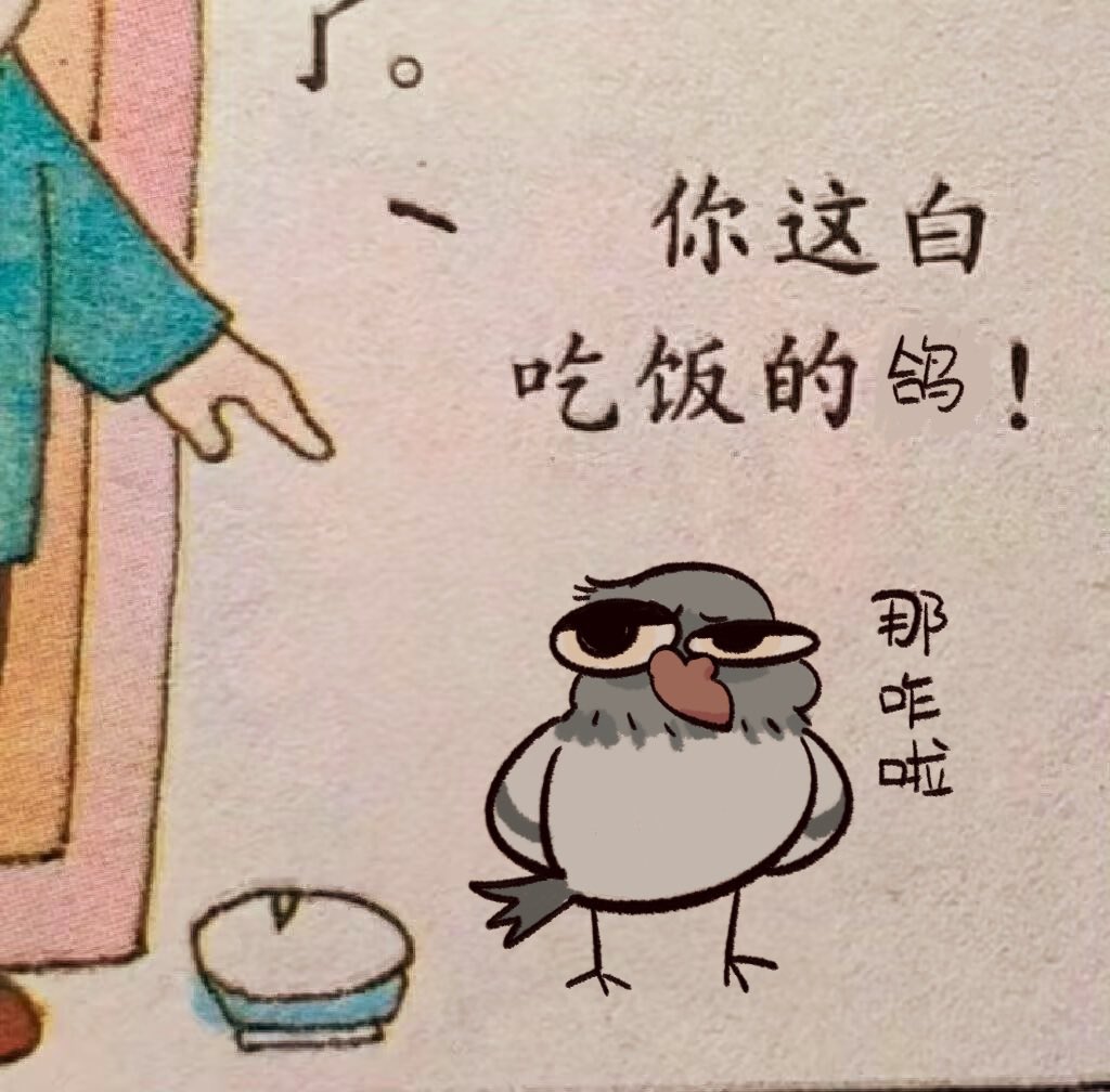 鸽！ tweet media