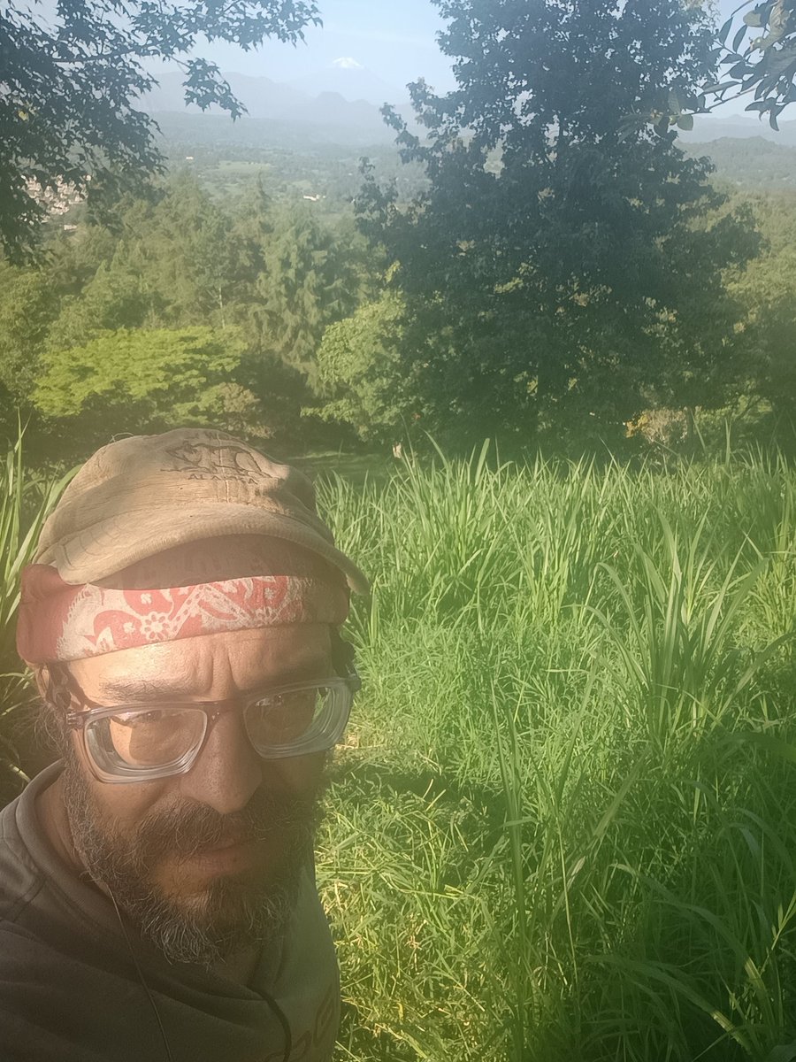 Most people wake up in a box to stare at a screen. 

I wake up to sweat, animals, and gratitude.

By 8am I’m drenched in sweat.

I’ve cut the grass for the goats.

 Fed the horses and the pigs.

It’s hard work. But it’s the kind of work that leaves you feeling alive.

While the