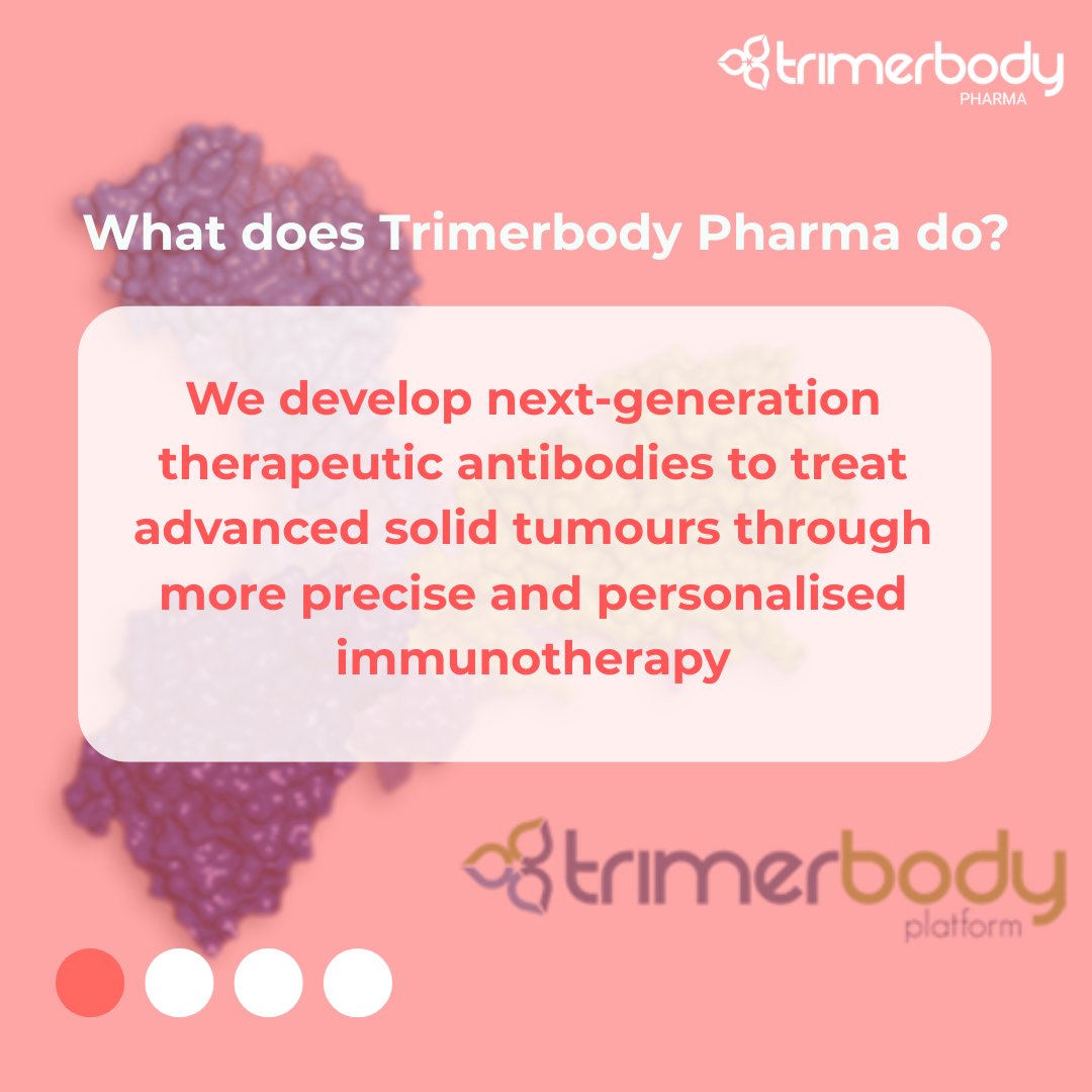 TrimerbodyPh's tweet image. ❓ Frequently Asked Questions about Trimerbody Pharma and Our Work
At Trimerbody Pharma, we want to bring science closer to people.
Today, we’re answering some of the questions we get asked the most 👇