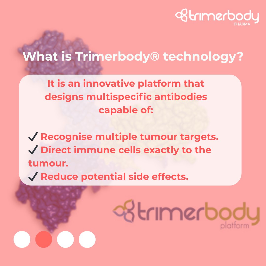 TrimerbodyPh's tweet image. ❓ Frequently Asked Questions about Trimerbody Pharma and Our Work
At Trimerbody Pharma, we want to bring science closer to people.
Today, we’re answering some of the questions we get asked the most 👇