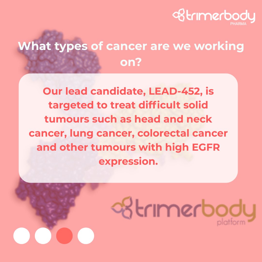 TrimerbodyPh's tweet image. ❓ Frequently Asked Questions about Trimerbody Pharma and Our Work
At Trimerbody Pharma, we want to bring science closer to people.
Today, we’re answering some of the questions we get asked the most 👇