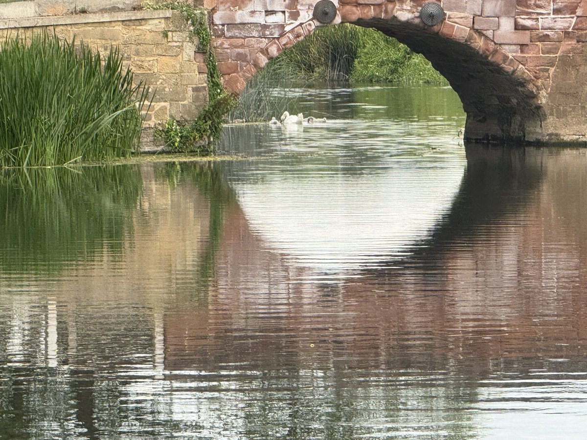 JackiHicks's tweet image. Pretty riverside view just a few feet away from our camper van site ๐