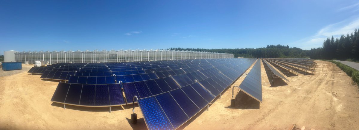 On me dit dans l'oreillette qu'une nouvelle grande centrale solaire thermique sera bientôt mise en service en 🇫🇷 Les travaux d'installation viennent de s'achever 👍 Une infrastructure durable qui va éviter de la combustion de gaz fossile importé pendant 30 ans et + 👌
