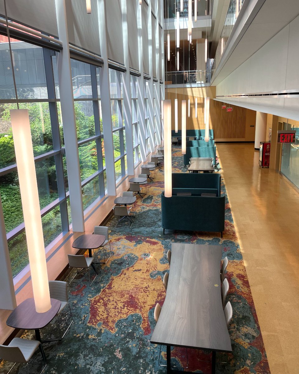 Sunlight and strategy 🔆