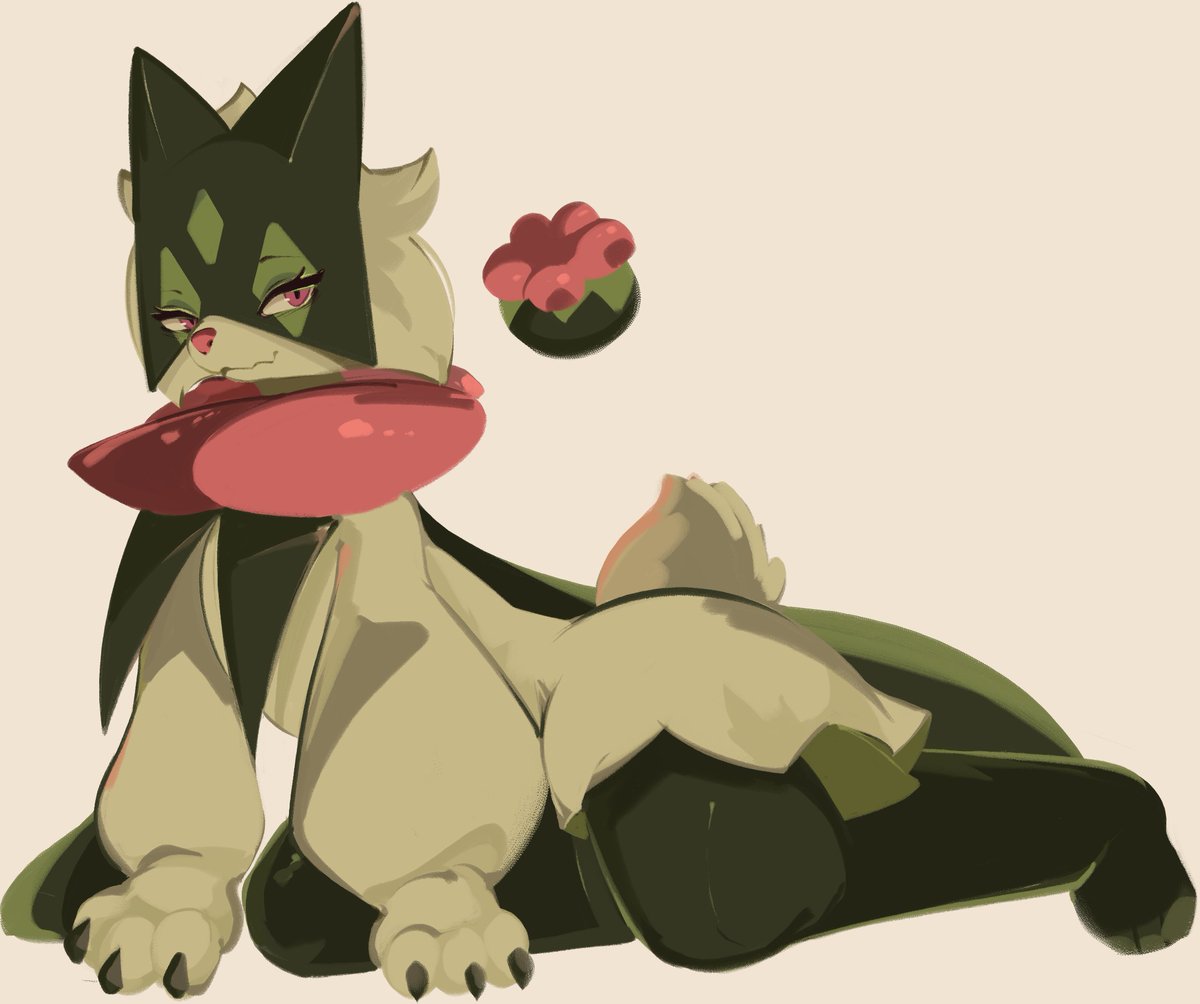 tohupony's tweet image. 